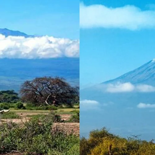 7-Day Kilimanjaro Hike via the Rongai Route