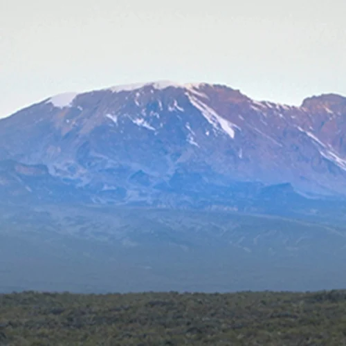 7-Day Kilimanjaro Hike Lemosho Route — Scenic Trekking